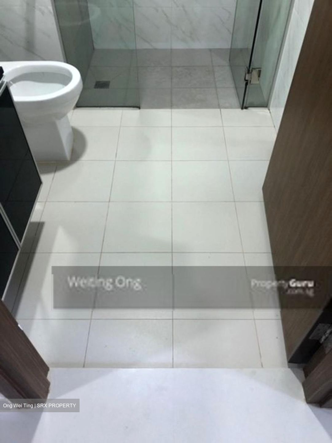 Loft @ Nathan (D10), Apartment #502926611